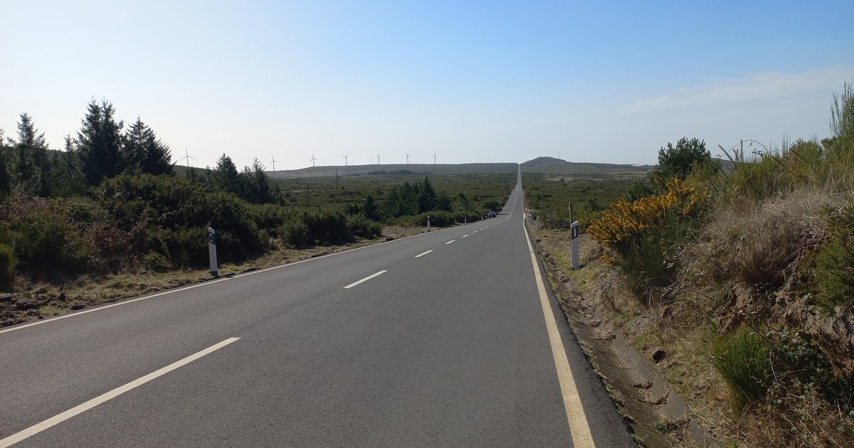 Der ultimative Guide zum Autofahren auf Madeira 2026: Panoramastraßen, Sicherheitstipps & Parkplatz-Geheimnisse