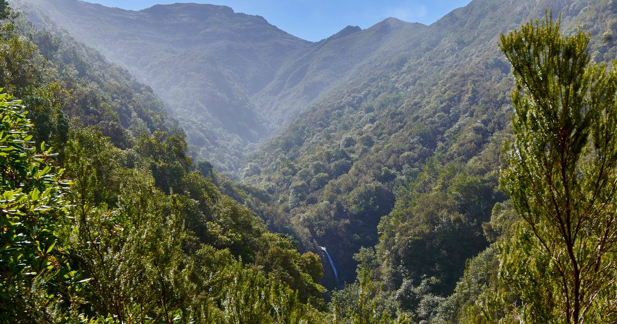Best Levada Walks in Madeira: which ones to choose (2026)