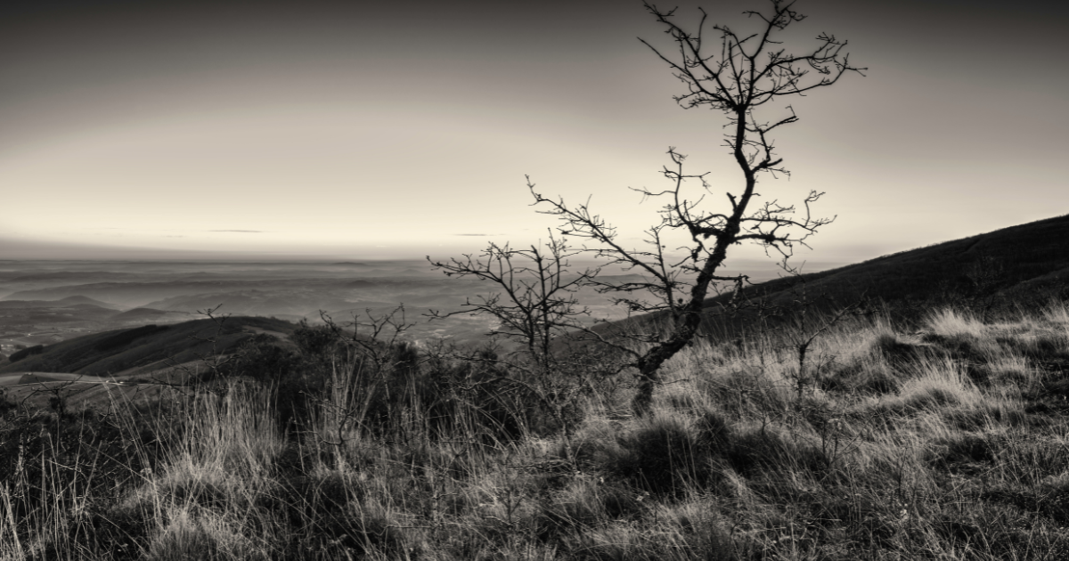 Bragança Car rental